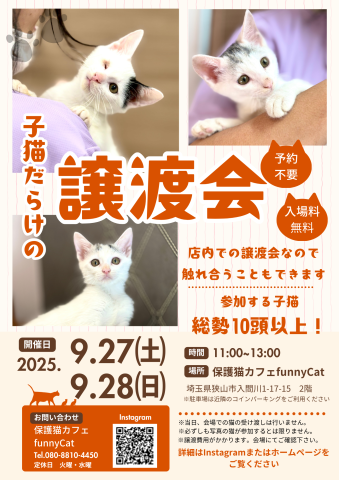 子猫だらけの店内譲渡会／予約不要・入場料無料