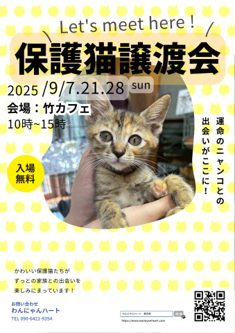 わんにゃんハート　譲渡会