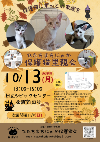 ひたちまちにゃか保護猫里親会