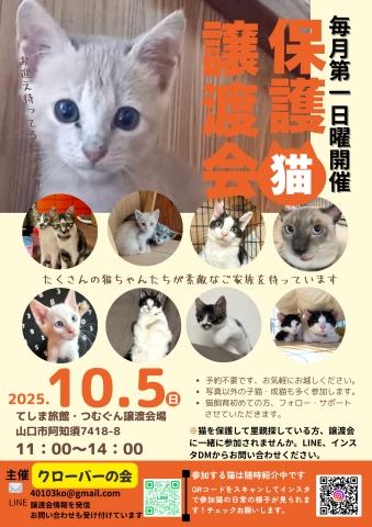 保護猫譲渡会