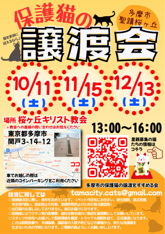 保護猫の譲渡会in聖蹟桜ヶ丘
