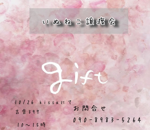 gift 犬猫譲渡会