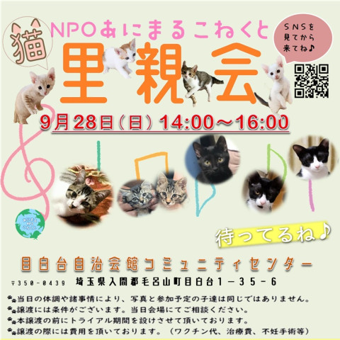 あにこね犬猫里親会