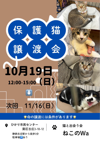 ねこのWa譲渡会　静岡市葵区