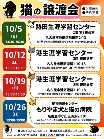 ネコの譲渡会 名古屋市港区