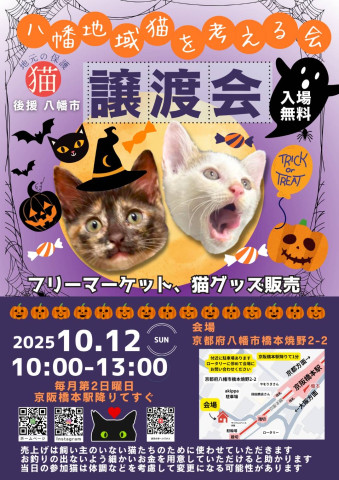 保護猫譲渡会with八幡地域猫を考える会