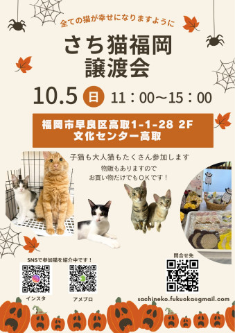 さち猫福岡譲渡会　文化センター高取