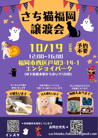 さち猫福岡譲渡会　エンジョイパーク（はっぴいすまいる）