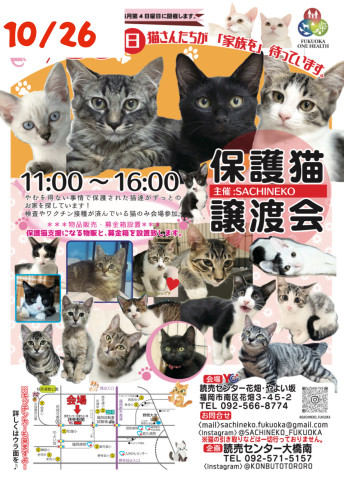 さち猫福岡譲渡会　読売センター花畑・やよい坂