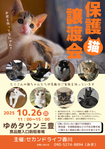 保護猫譲渡会