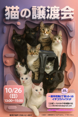 一宮市　保護猫の譲渡会