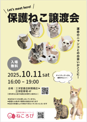 保護ねこ譲渡会　in名古屋