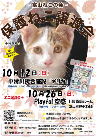 富山ねこの会　保護ねこ譲渡会
