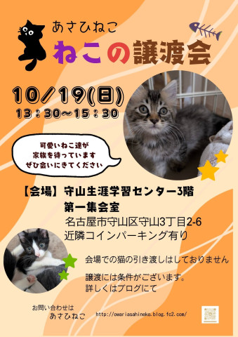 ねこの譲渡会 in守山生涯学習センター