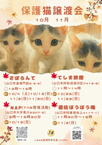 保護猫譲渡会in山口市さぽらんて