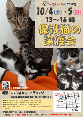 【札幌】ニャン友キャットラウンジ譲渡会〈10/4-5〉