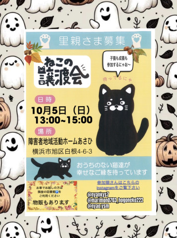 保護ねこ譲渡会in横浜市旭区