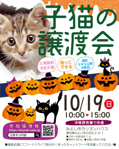 子猫だらけ25～30匹くらい★みよし市