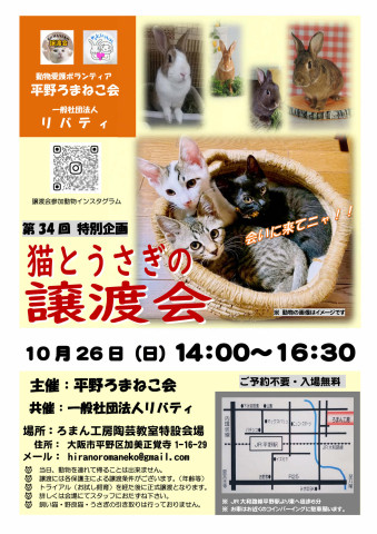 第34回 特別企画「ねことうさぎの譲渡会」by 平野ろまねこ会