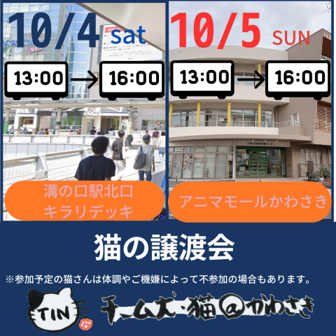チーム犬猫かわさき　アニマモール譲渡会