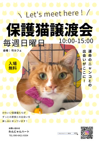 わんにゃんハート　譲渡会