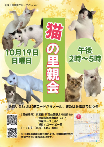 猫の里親会