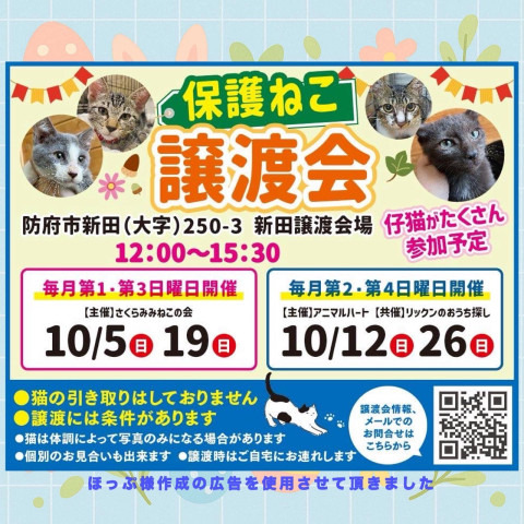 保護ねこ譲渡会
