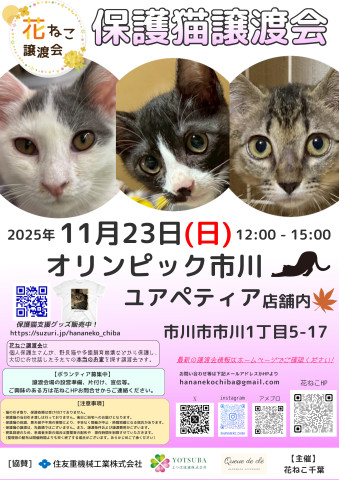 花ねこ譲渡会