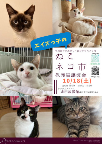 エイズっ子のねこネコ市
