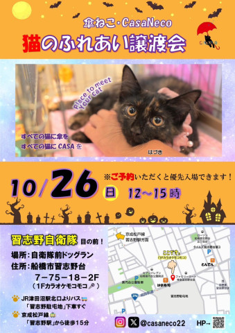 『傘ねこふれあい譲渡会Vol.30』