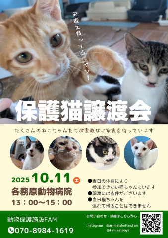 ゴロニャン譲渡会in 各務原