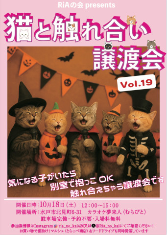 猫と触れ合い譲渡会