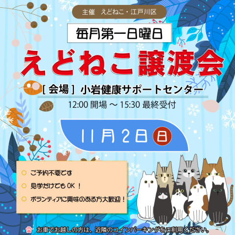 えどねこ譲渡会