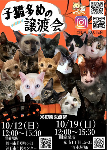 ☆仔猫多めの譲渡会☆
