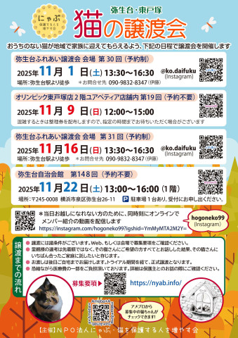 弥生台・東戸塚　猫の譲渡会