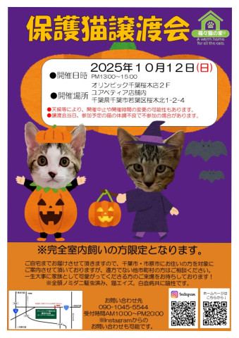 保護猫譲渡会