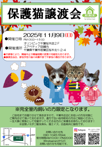 保護猫譲渡会