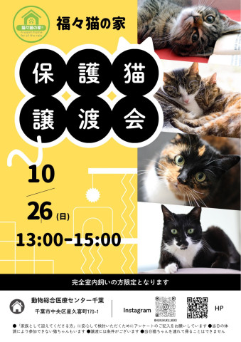 保護猫譲渡会