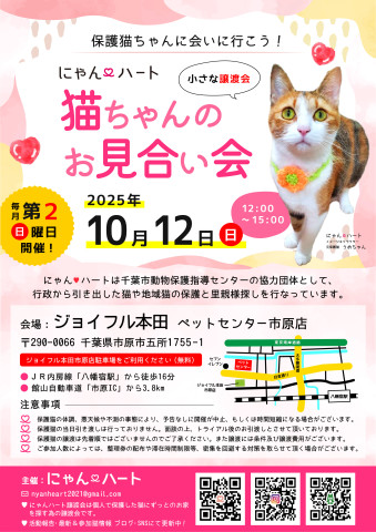 にゃん❤️ハート　猫ちゃんのお見合い会