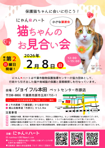 にゃん❤️ハート　猫ちゃんのお見合い会