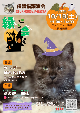 保護猫譲渡会『縁会』〜えんかい〜