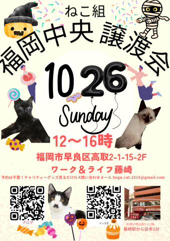 ねこ組🐾福岡中央 譲渡会