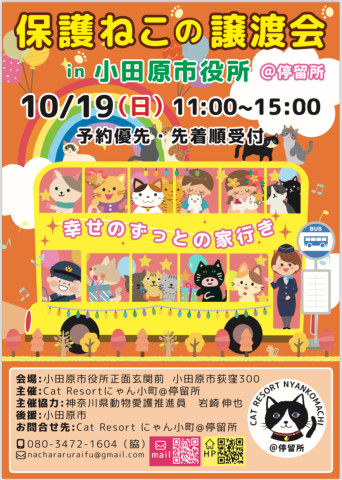 小田原市後援　小田原市役所保護ねこ譲渡会
