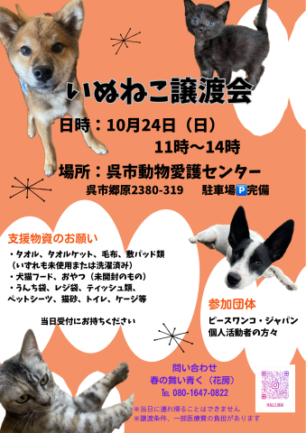 いぬねこ譲渡会