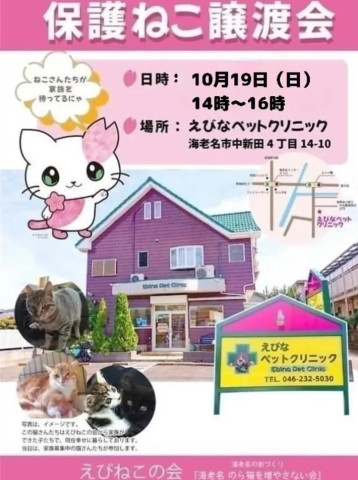 保護ねこ譲渡会@海老名