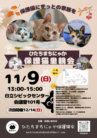 ひたちまちにゃか保護猫里親会