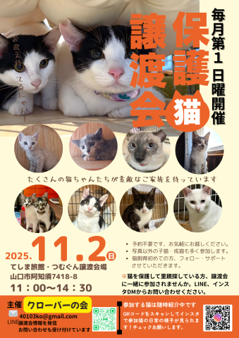 クローバーの会保護猫譲渡会