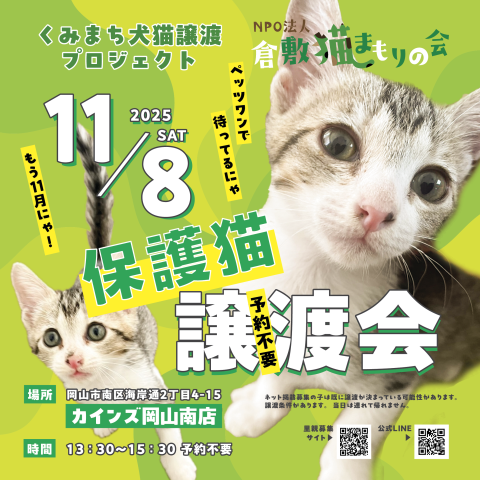 保護猫譲渡会（予約不要）