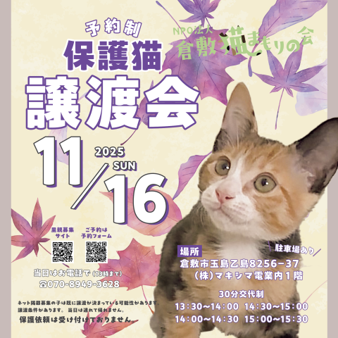 保護猫譲渡会（予約制）