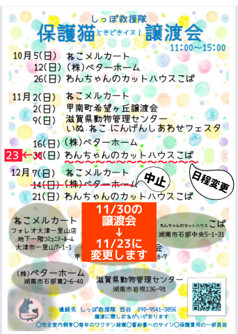 しっぽ救援隊ほごねこ譲渡会